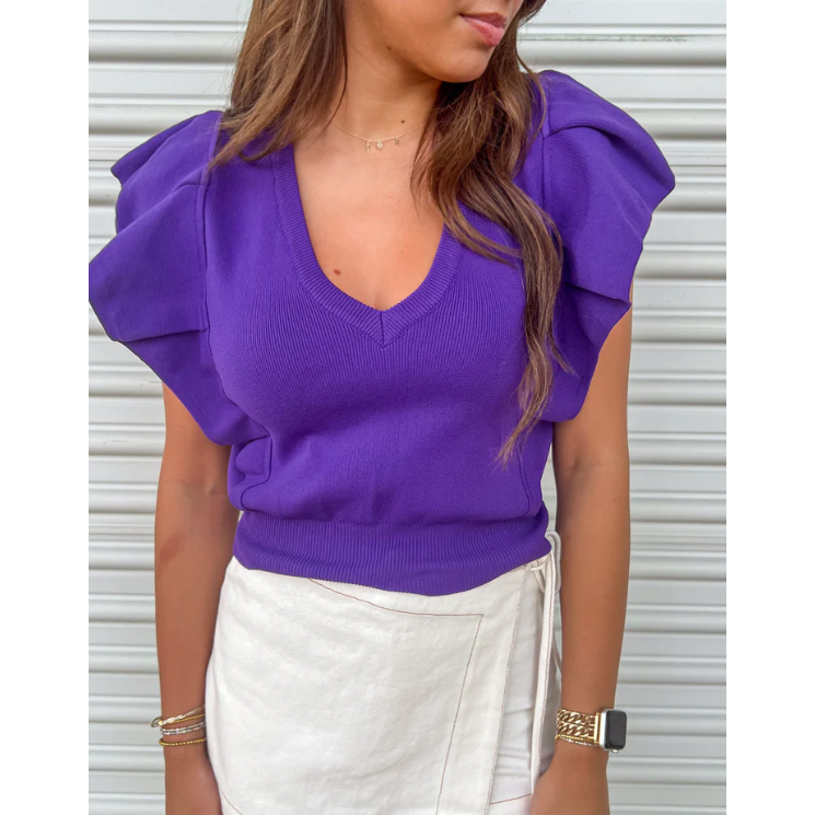 Eunice Pleated short Ruffle Sleeve Knit Top