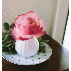 Dark Gray Sweet Grace Flower Diffuser